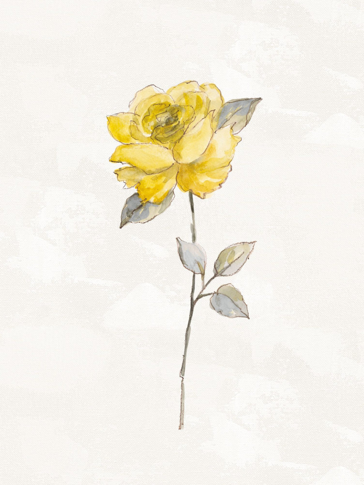 Sunny Roses Flower II Mural Wallpaper - pure wallpaper artwork