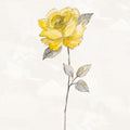 Sunny Roses Flower II Mural Wallpaper - pure wallpaper artwork