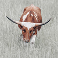Rainy Pasture II Mural Wallpaper - pure wallpaper artwork
