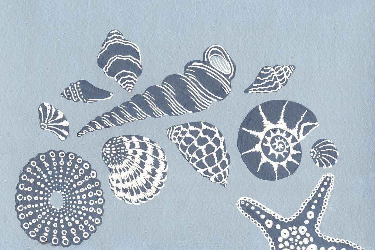Coastal Shells I Mural Wallpaper - pure wallpaper artwork