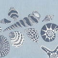 Coastal Shells I Mural Wallpaper - pure wallpaper artwork