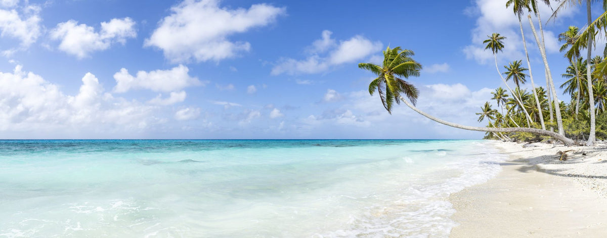 Atoll Beach Mural Wallpaper - pure wallpaper artwork