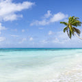 Atoll Beach Mural Wallpaper - pure wallpaper artwork