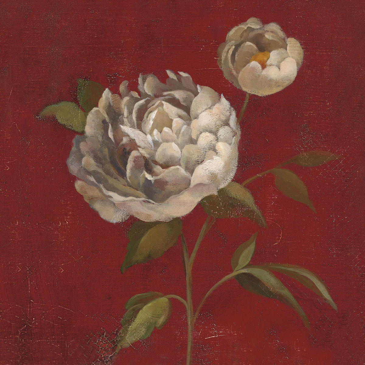 Peony Blooms Mural Wallpaper - pure wallpaper artwork