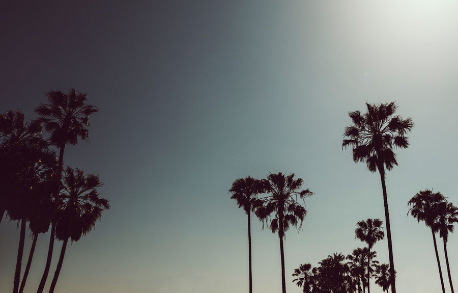 Coastal Wallpaper Mural – Seaside Wall Mural – Venice Beach printable artwork