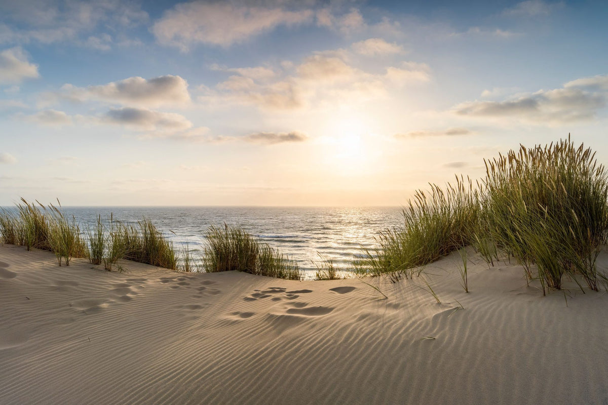 Dune Beach Mural Wallpaper - pure wallpaper artwork