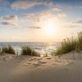 Dune Beach Mural Wallpaper - pure wallpaper artwork