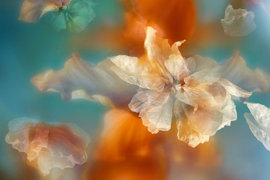 Serendipity Flower Mural Wallpaper