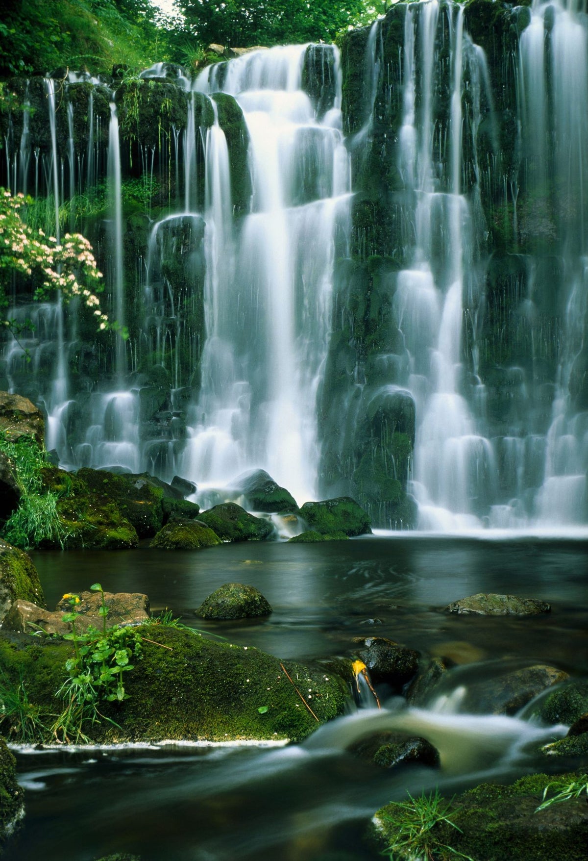 Emerald Cascade Mural Wallpaper - pure wallpaper artwork