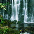 Emerald Cascade Mural Wallpaper - pure wallpaper artwork