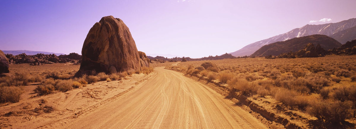 Desert Journey Mural Wallpaper - pure wallpaper artwork