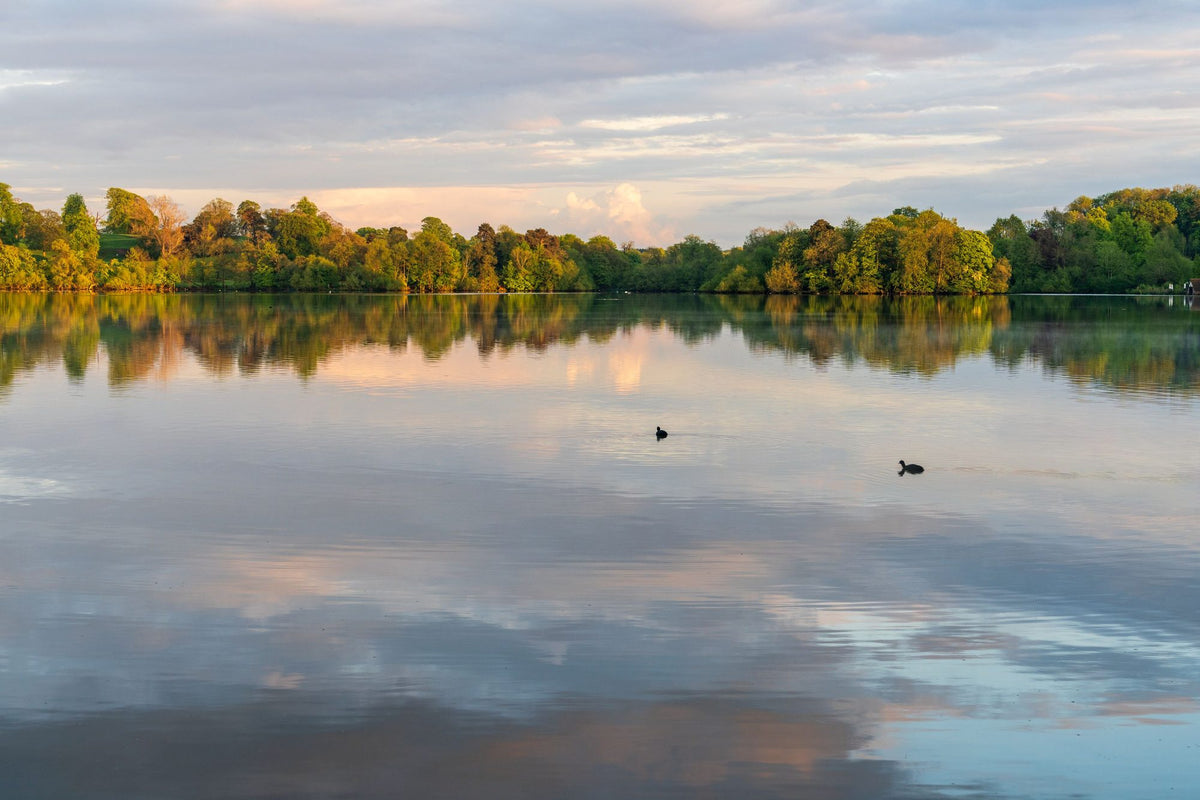Lakeside Reflection Mural Wallpaper - pure wallpaper artwork