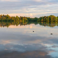 Lakeside Reflection Mural Wallpaper - pure wallpaper artwork