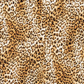 Leopard Flow Mural Wallpaper - pure wallpaper artwork