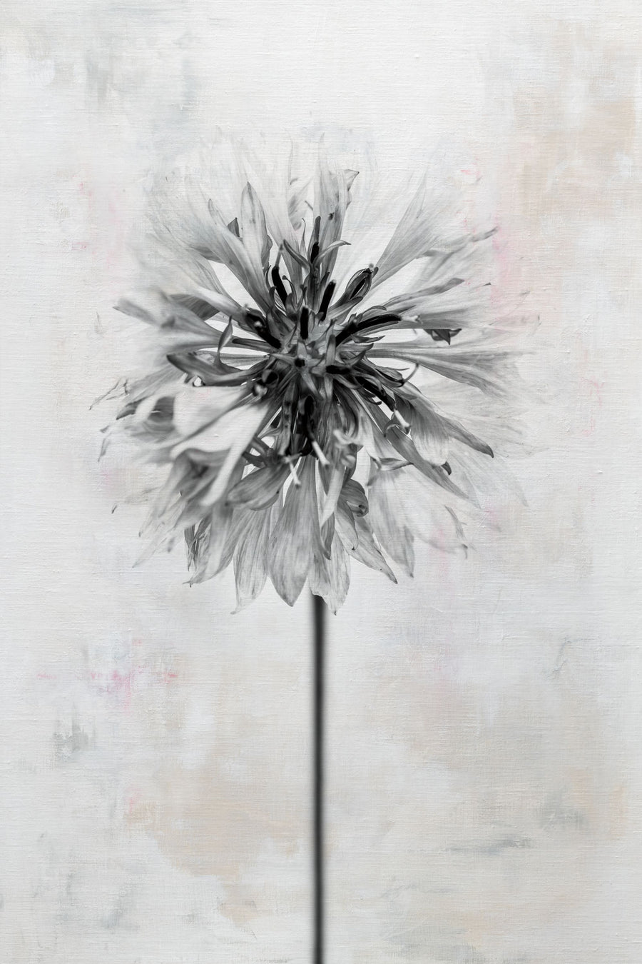 Wonderful Wildflowers X Neutral Mural Wallpaper