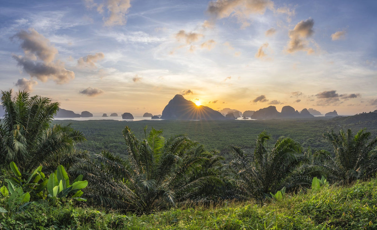 Tropical Sunset Vista Mural Wallpaper - Neutral Tone - pure wallpaper artwork
