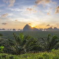 Tropical Sunset Vista Mural Wallpaper - Neutral Tone - pure wallpaper artwork