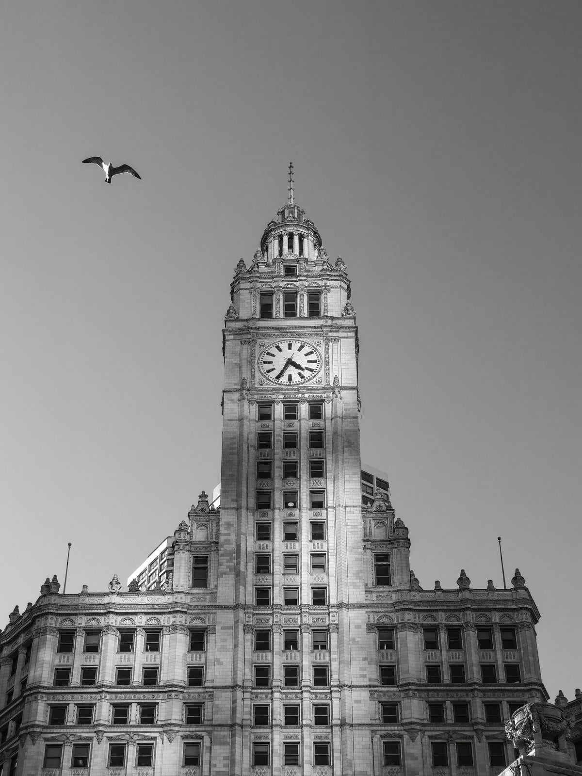 Chicago River Walk BW Mural Wallpaper - pure wallpaper artwork