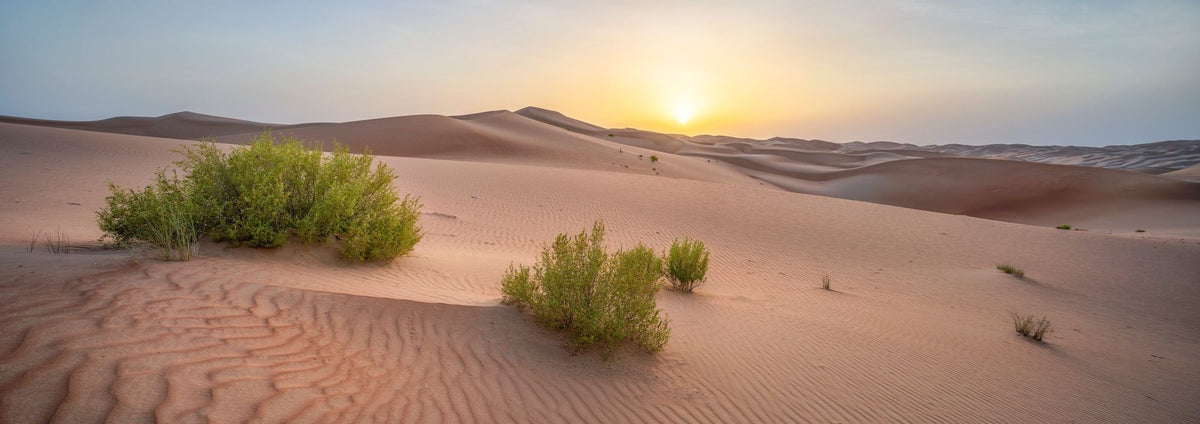 Desert Greens Mural Wallpaper - pure wallpaper artwork