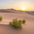 Desert Greens Mural Wallpaper - pure wallpaper artwork