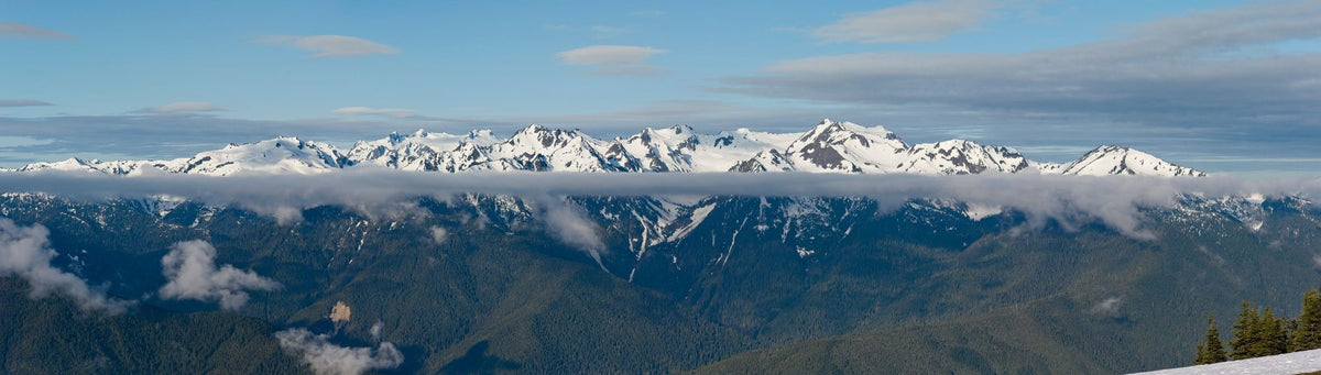 Snowy Tops Mural Wallpaper - pure wallpaper artwork