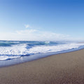 Golden Shore Mural Wallpaper - pure wallpaper artwork