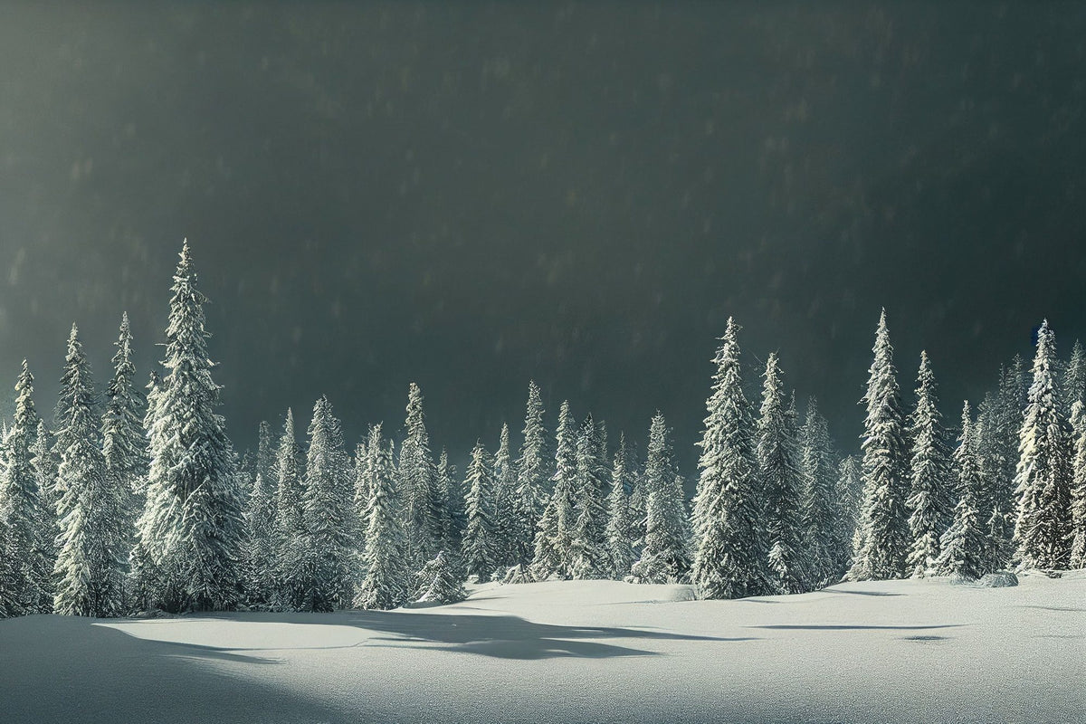 New Snow Mural Wallpaper - pure wallpaper artwork