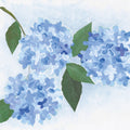 Providence Hydrangea II Mural Wallpaper - pure wallpaper artwork