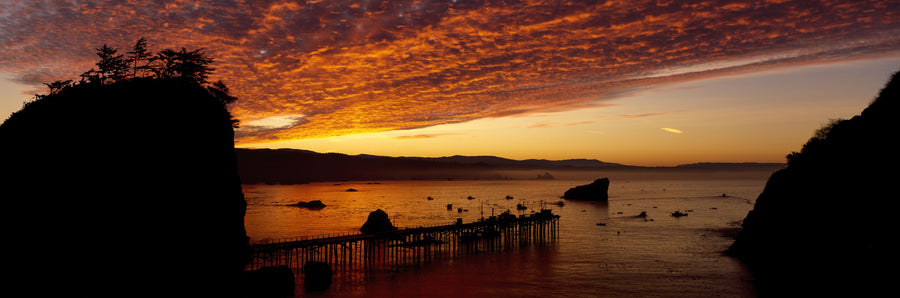 Amber Harbor Mural Wallpaper