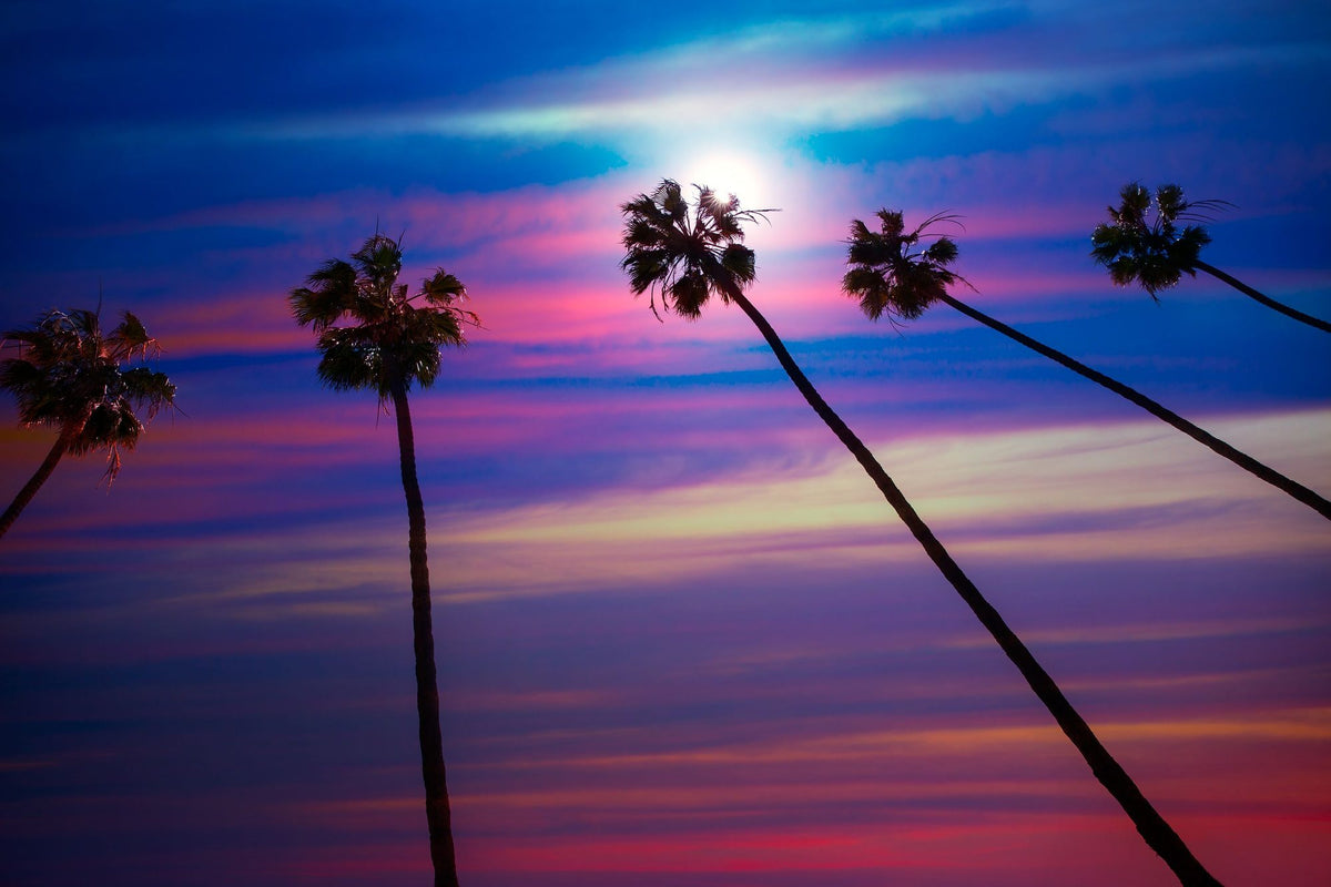 La Quinta Palms Mural Wallpaper - pure wallpaper artwork