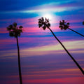 La Quinta Palms Mural Wallpaper - pure wallpaper artwork