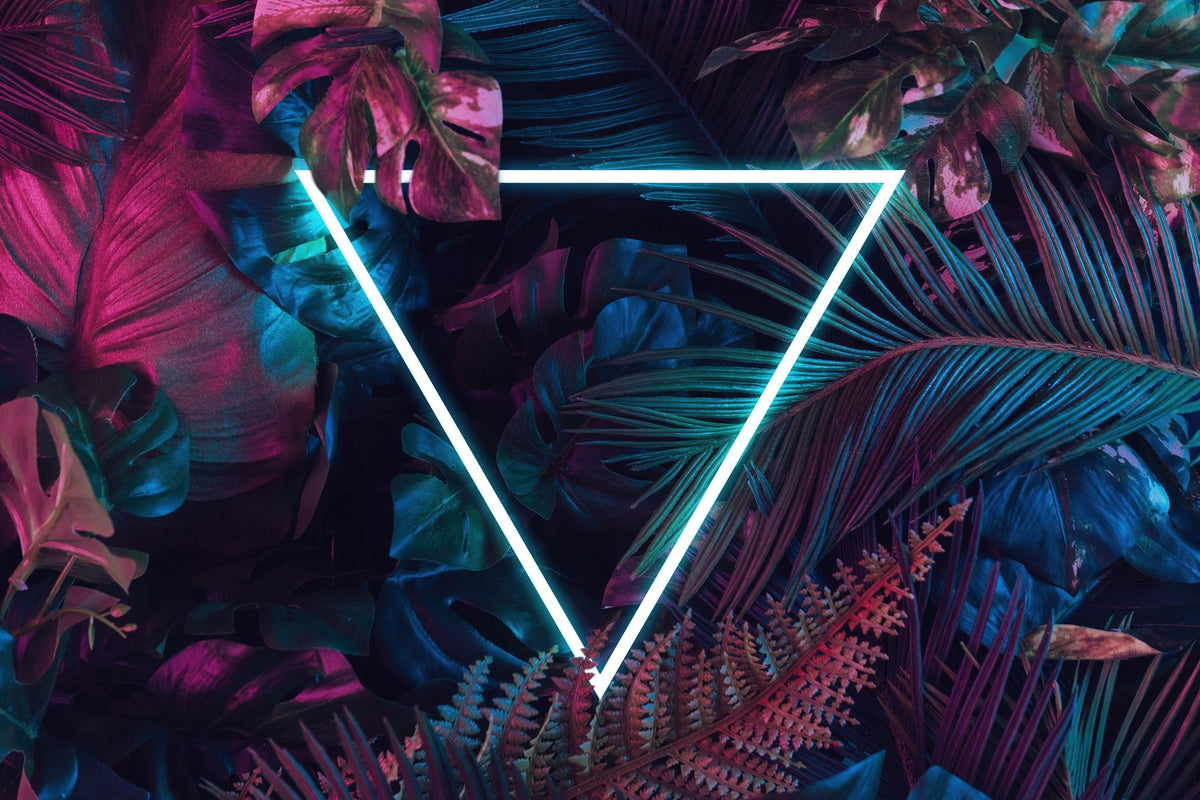 Savage Jungle Sign Mural Wallpaper - pure wallpaper artwork