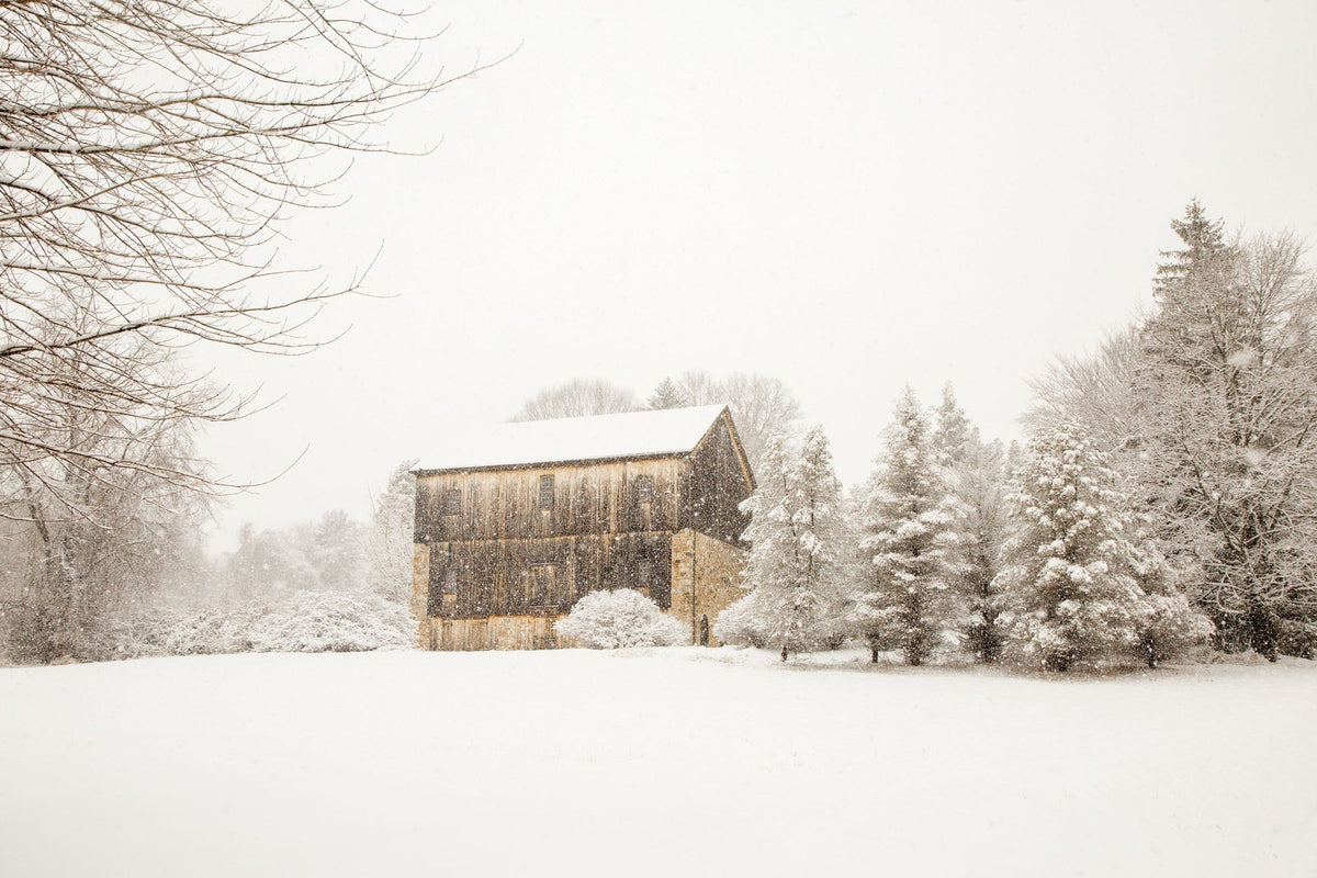 First Snow Mural Wallpaper - pure wallpaper artwork
