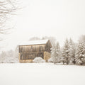 First Snow Mural Wallpaper - pure wallpaper artwork