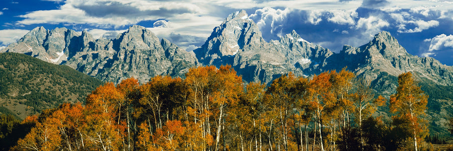 Autumn Mountain Vista Mural Wallpaper