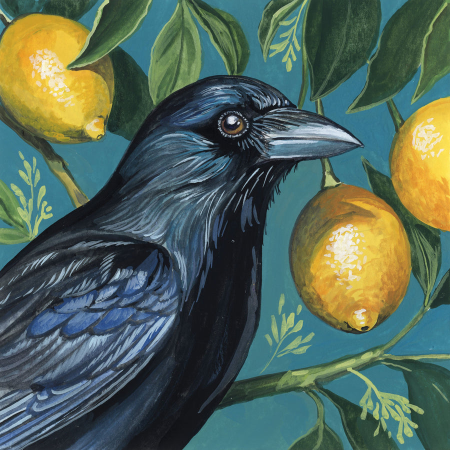 Crow with Lemon Backdrop Mural Wallpaper