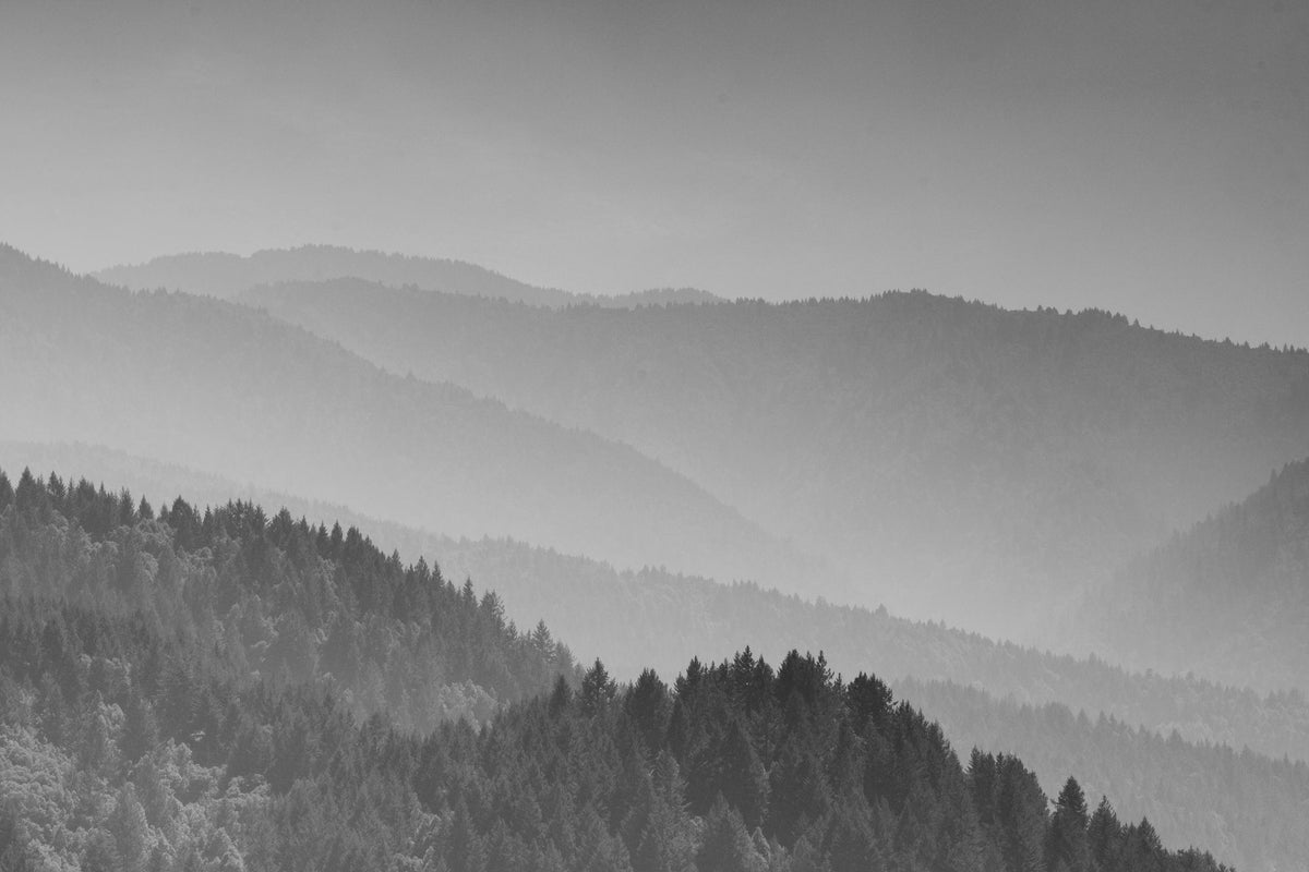 Deep in the Lost Coast Mural Wallpaper - pure wallpaper artwork