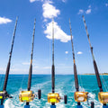 Deep Sea Rods Mural Wallpaper - pure wallpaper artwork