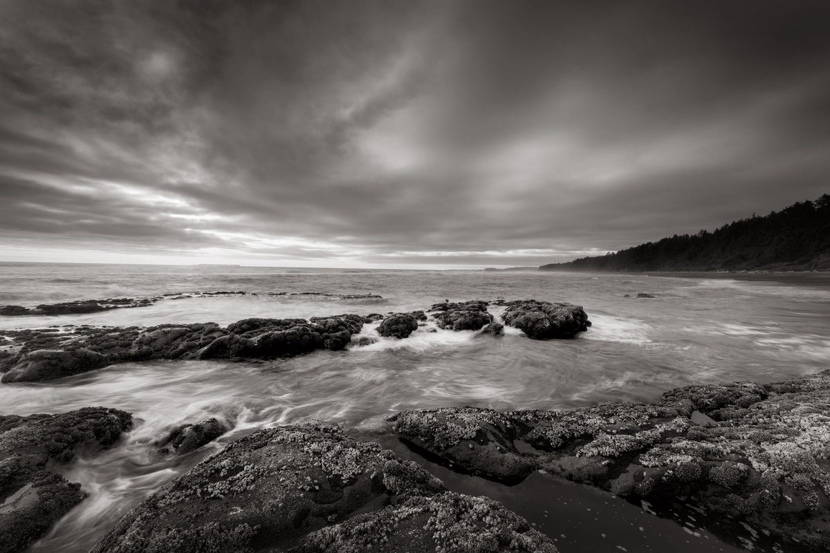 Kalaloch Beach Mural Wallpaper - pure wallpaper artwork