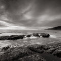 Kalaloch Beach Mural Wallpaper - pure wallpaper artwork