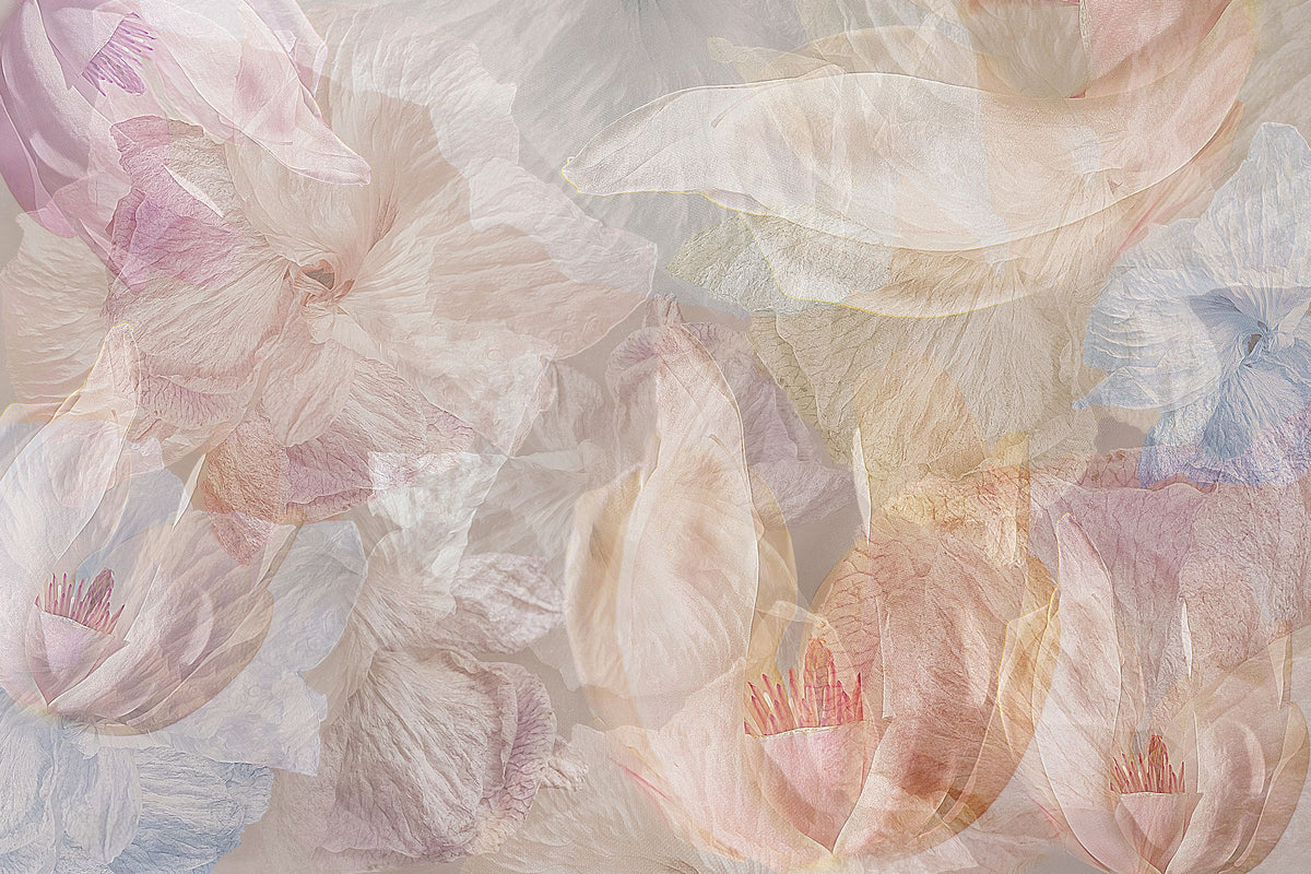 Spring Tourbillion Mural Wallpaper - pure wallpaper artwork