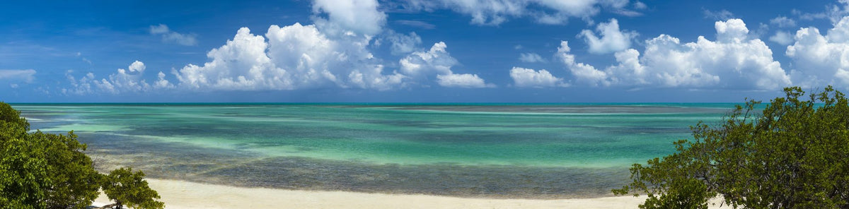 Tropical Paradise Shore Mural Wallpaper - pure wallpaper artwork