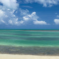 Tropical Paradise Shore Mural Wallpaper - pure wallpaper artwork