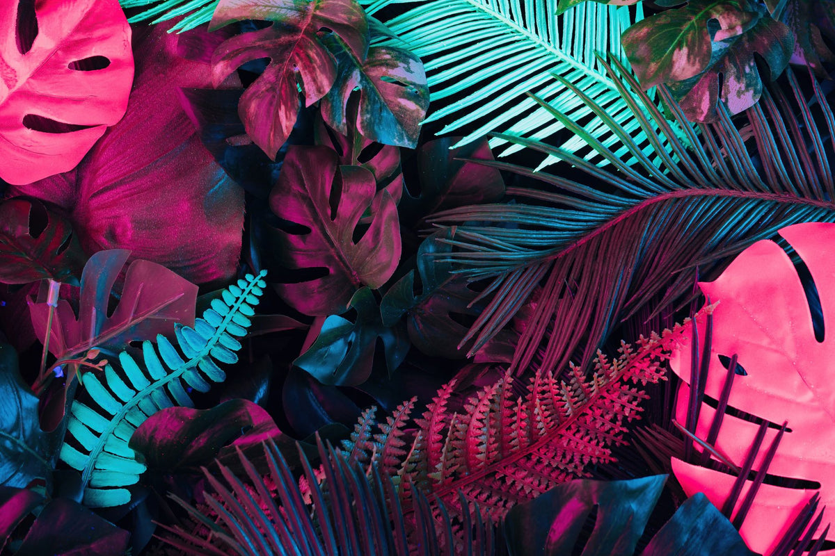 Savage Jungle Mural Wallpaper - pure wallpaper artwork