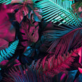 Savage Jungle Mural Wallpaper - pure wallpaper artwork