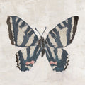Garden Beauties II Honeybloom Mural Wallpaper - pure wallpaper artwork