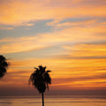 Sunset Palms III Mural Wallpaper - pure wallpaper artwork