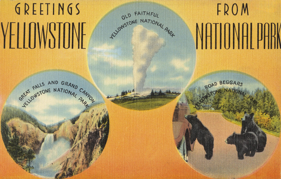 Greetings From Yellowstone Mural Wallpaper