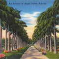 Greetings From Royal Palms Mural Wallpaper - pure wallpaper artwork