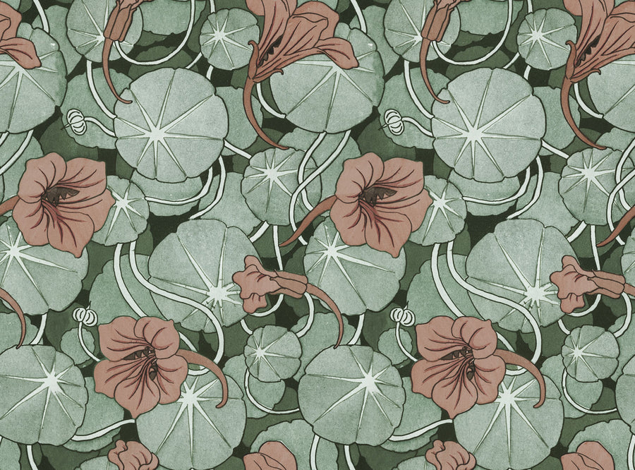 Nasturtium Verdure, Peachy Rose Mural Wallpaper